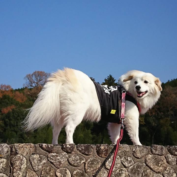 C235793b d40f 4c5f bc5e f21d0d5ed07f 1639538616747