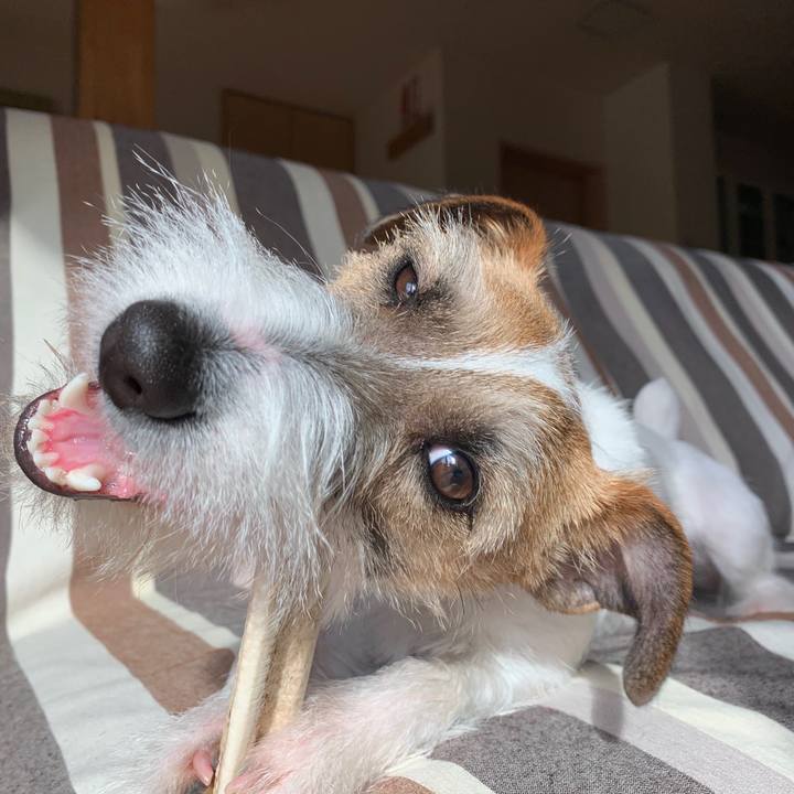 C2357f19 6de6 4934 9d06 97a50ecb03c7 1582158645967