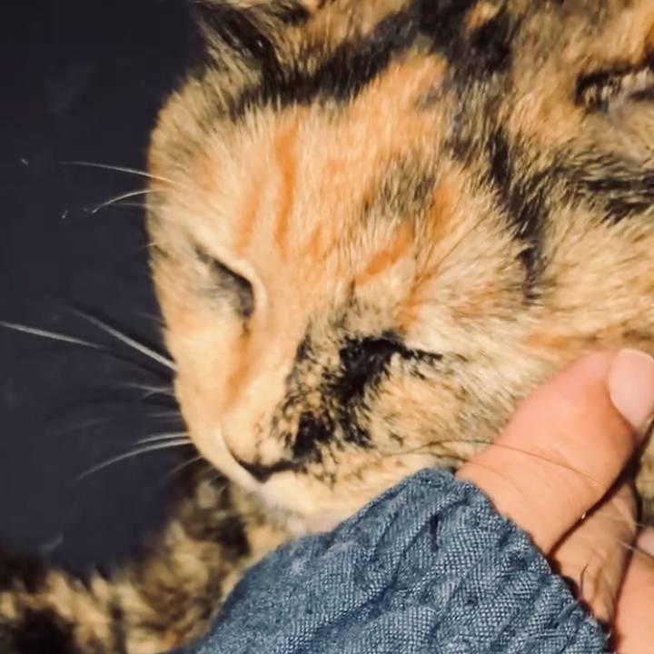 C2359db5 1382 4c92 be6a 88b5d05bdbbb 1730059893463