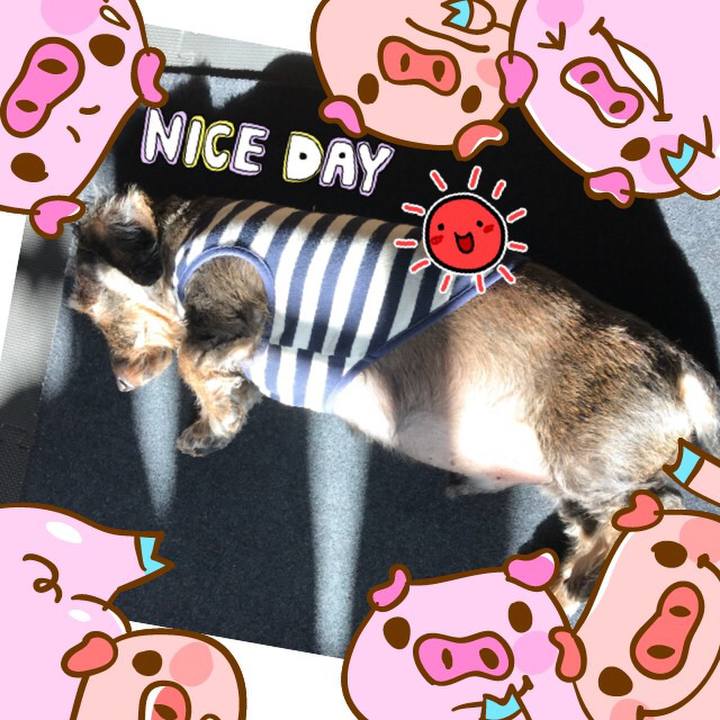 C235de36 577b 4817 b35e c612f43e1d2b 1513302677356