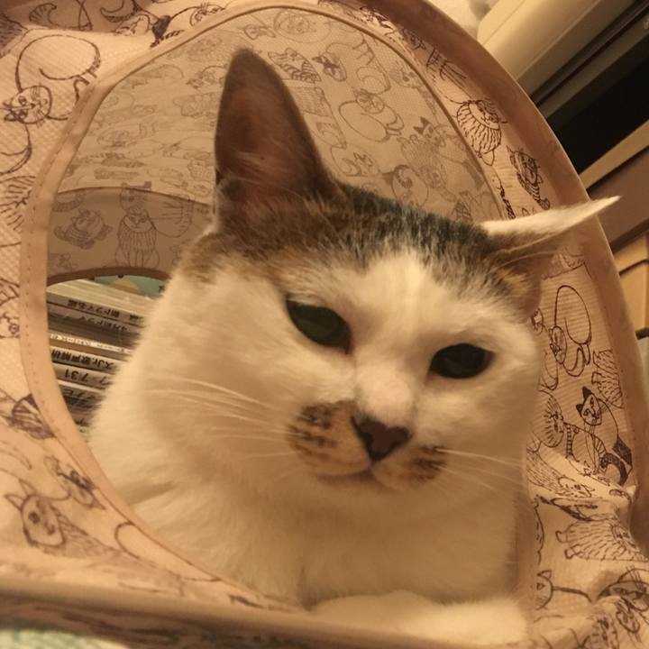 C236007a f2da 47eb 9cd3 1ef75732adae 1565171477325