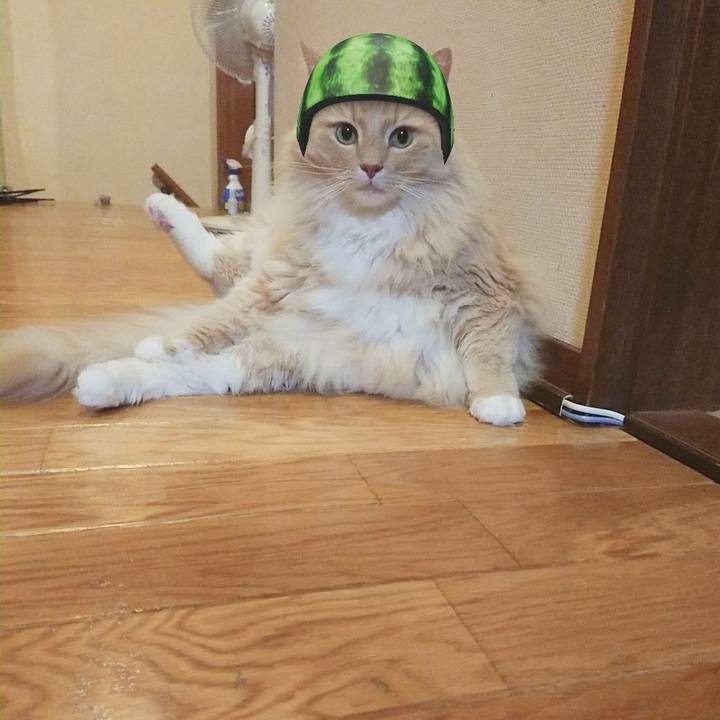 C23604f9 ae69 4046 bbc2 823fbd016757 1563026065861