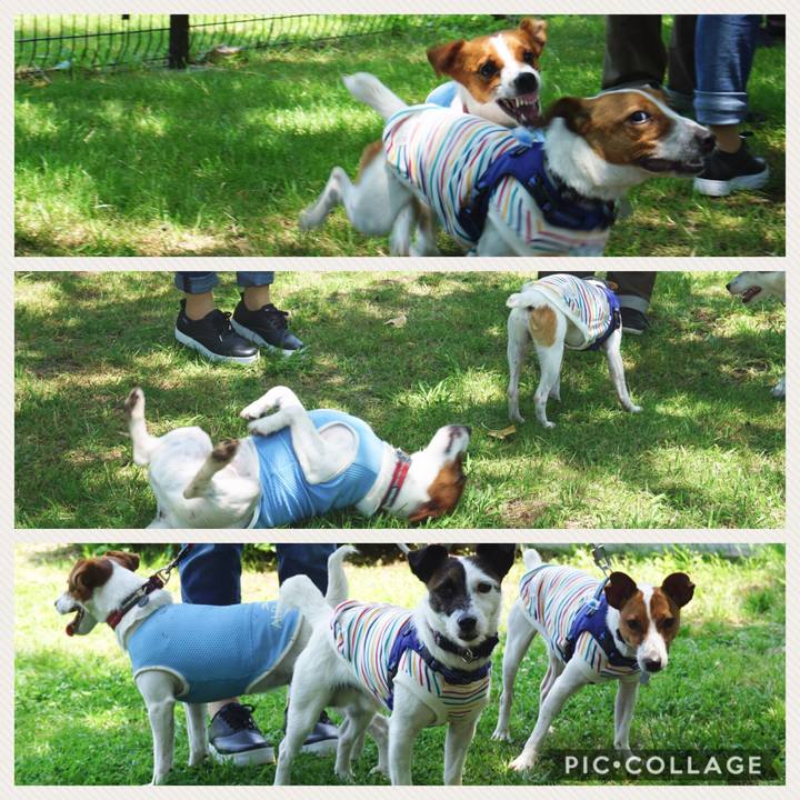 C23606c6 682d 475a bf55 e33c08a1f92c 1527581122046