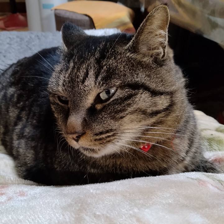 C23608e0 c1fd 444a 8a3a fd4685990138 1671961053983