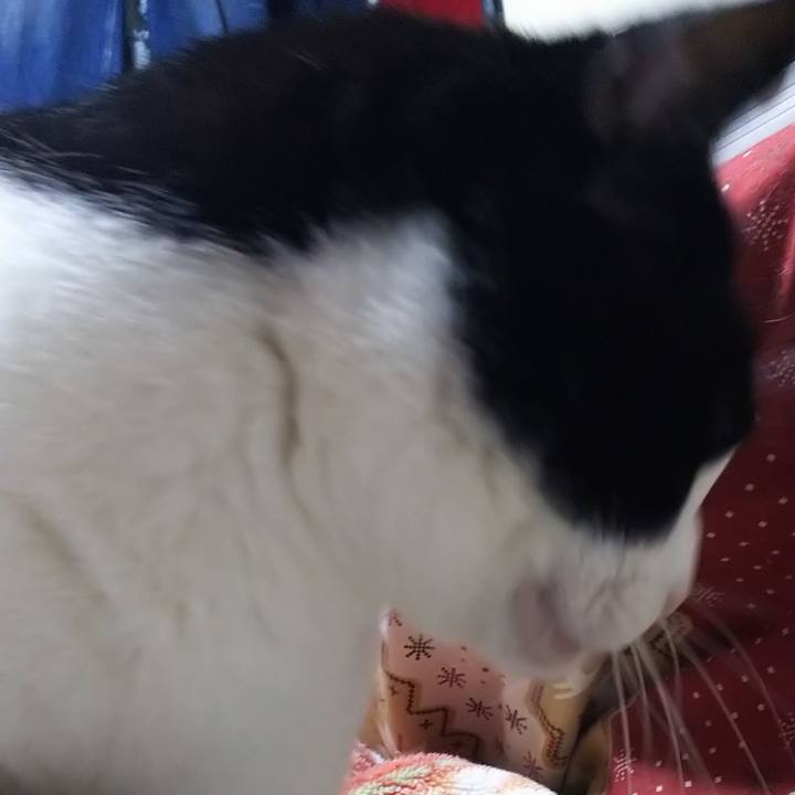 C2361133 41ce 4498 824e b84e5539129f 1581805332375