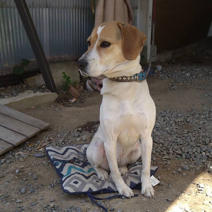 C2361ebb 8d37 493e 8976 a36601256514 1618112554040