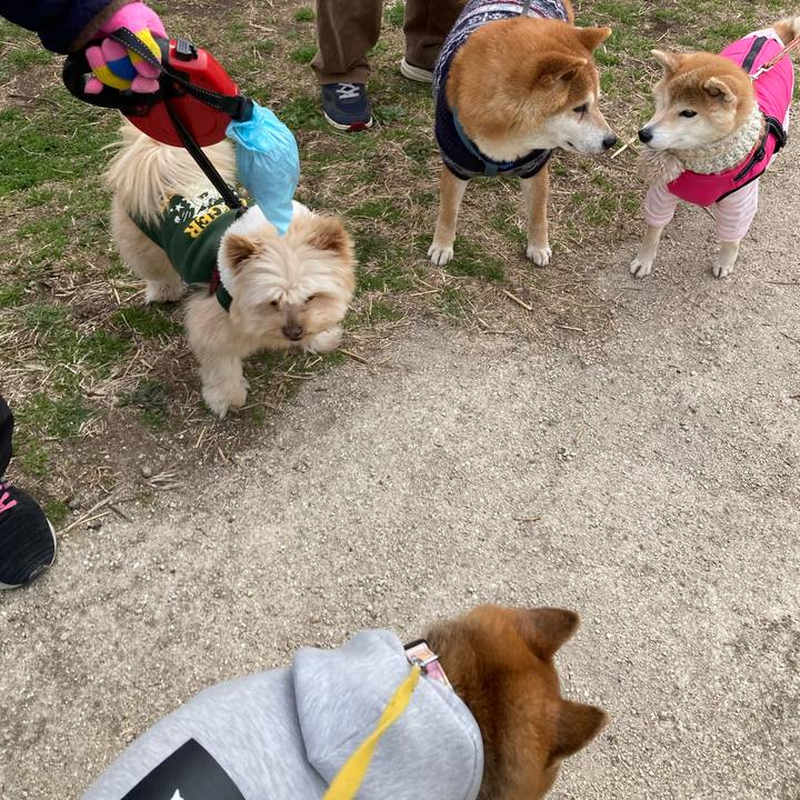 C2363302 c851 426f ab4a 70ce40ea1137 1773023274823