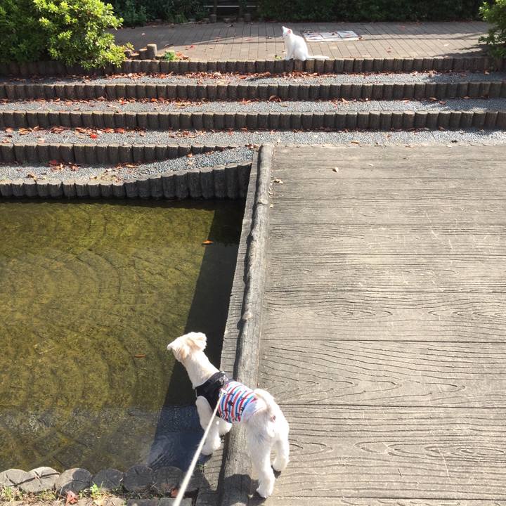 C236427a 6f2b 4a1f aba0 d6362ff01e3c 1540704549881