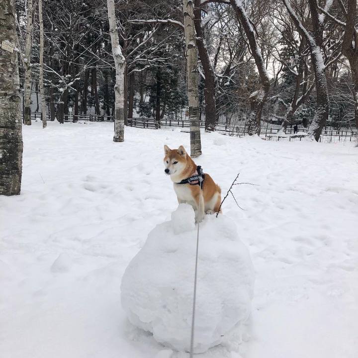 C2365bd3 1272 47c4 8535 231155f75413 1579999143779