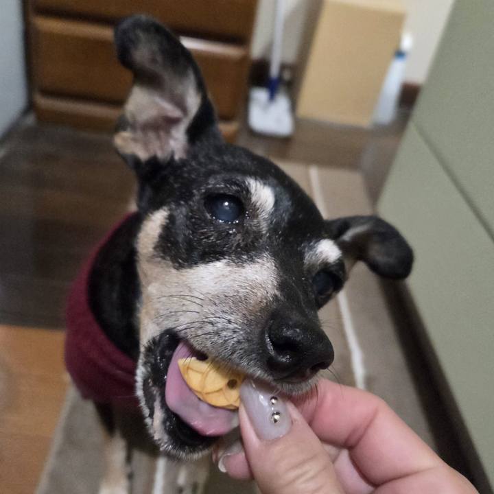 C2372797 4eba 4d28 b557 0bdee451e787 1763409115056