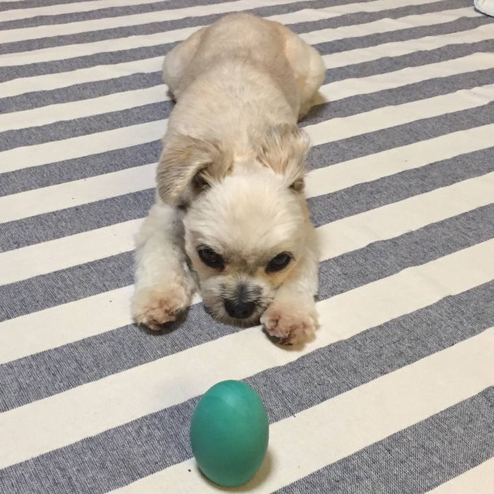 C237a2df 1b0f 4ac0 8756 36bc2b7e2d5b 1567768504883