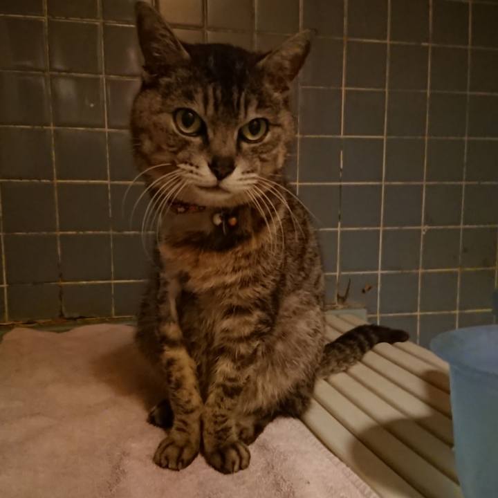 C237a53a db22 4393 a4cd 6fdae539cc91 1590489463646