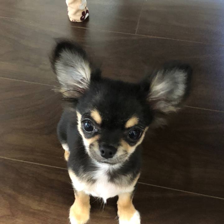 C2383d2d 8b75 4f36 8884 bbb688c3a863 1538005356813