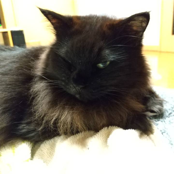 C238484c 7dfe 4f94 a26d 57058ba03032 1671623586157