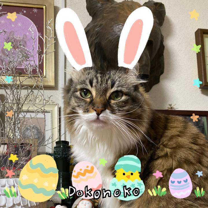 C2388be3 a268 40e9 b4a9 444e56b54334 1712760252279