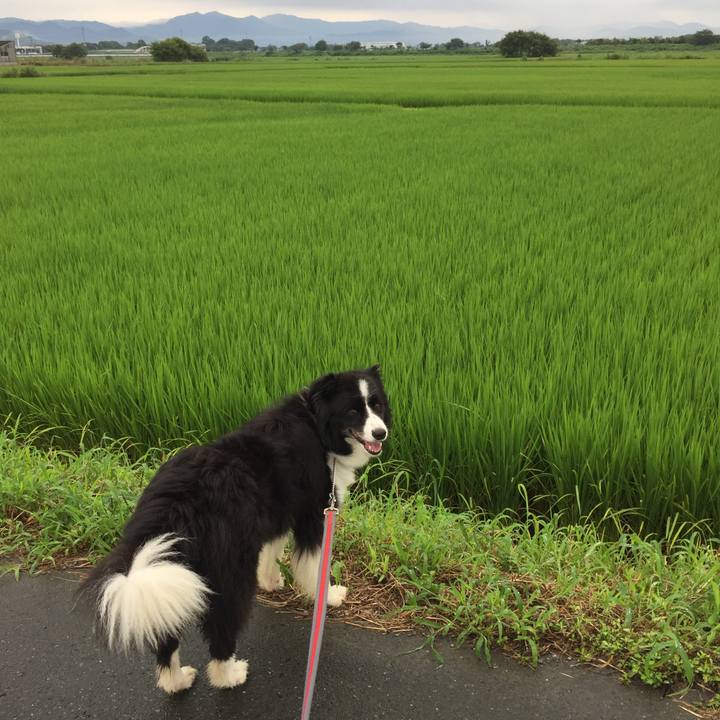 C238e118 3bf8 4f59 a753 490799db4bfa 1567295883495