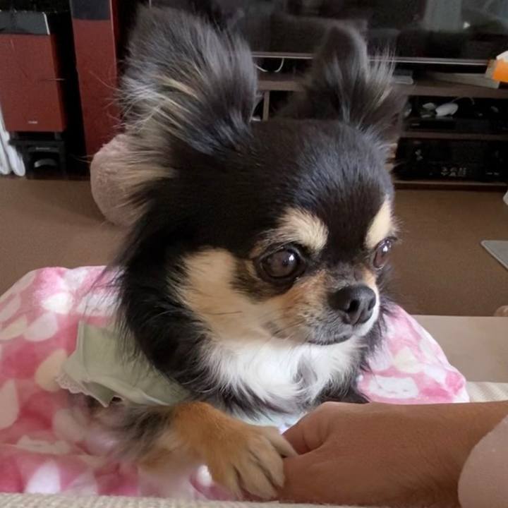 C238edcf 0ed7 4e59 ae4e 2d38ee5192ba 1648776683633