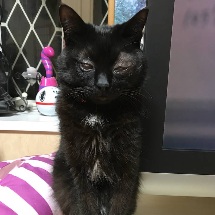 C238fa33 818d 4eba 98dc baed48515541 1526305495592