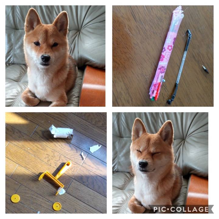 C2390e57 d56d 4a1b b90a f46e15ffb1fc 1646808100551