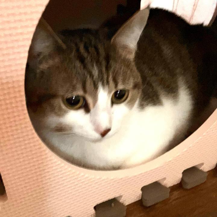 C2391fa7 98fa 4a74 923d 9c73d63d0e3e 1683637940992