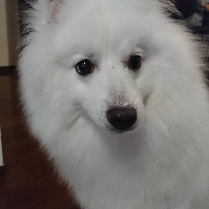 C2392350 0c7c 4844 a586 644c3cc47bca 1562077347667