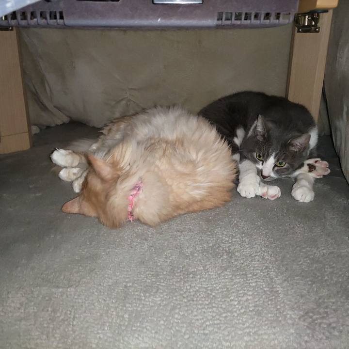 C23929c3 13b7 45a1 80ad 354f73191c00 1675777240374