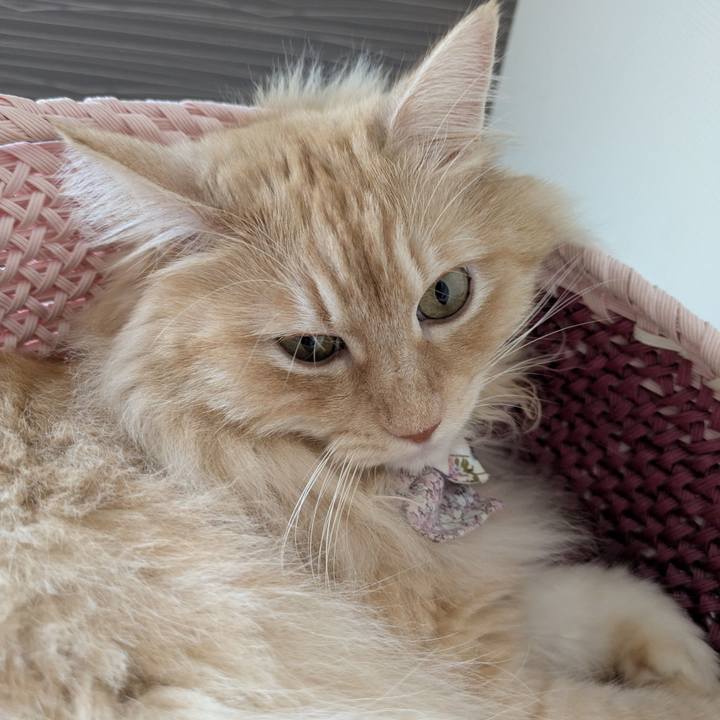 C2393250 8a2e 4ddc 8768 d0494b1eee18 1754966715163