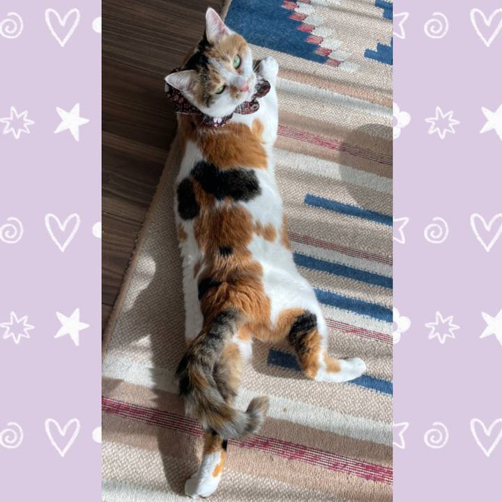 C2393636 b35b 4378 a1e1 9ef1f989a7c6 1744515420081