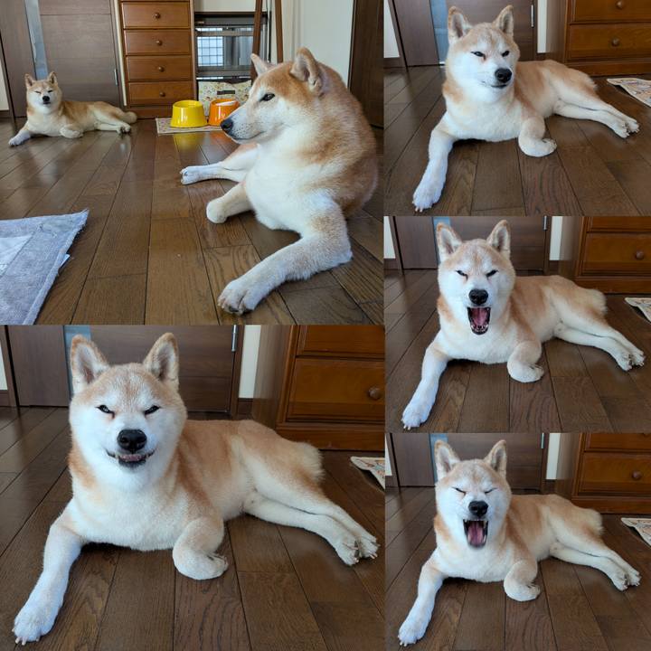 C239aca3 d2e3 4625 aba5 92ea1c2ccfb5 1763782753737