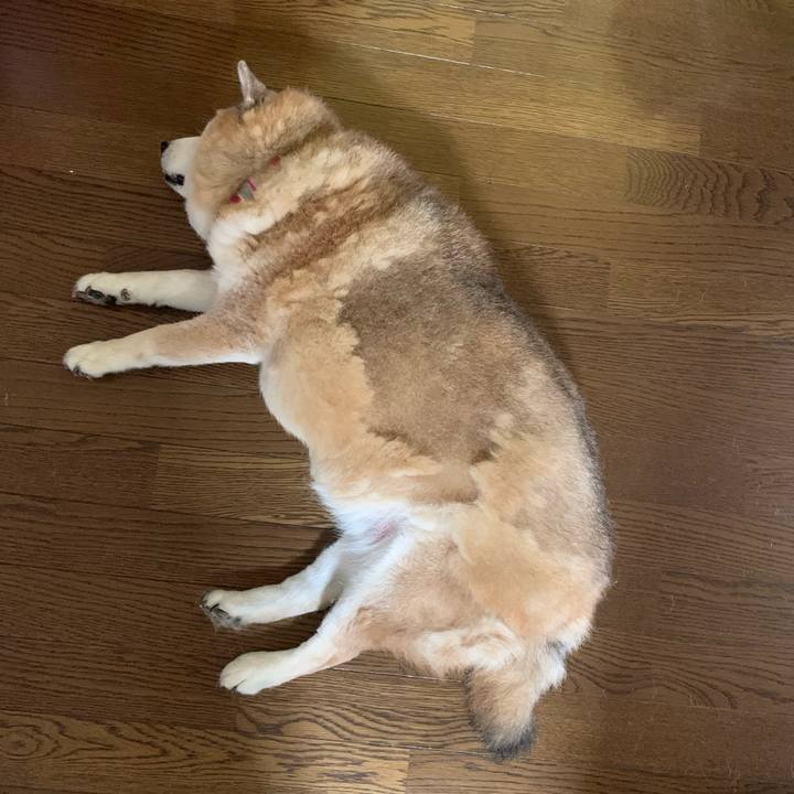 C239f68f ec40 4e7c 8b24 948727045358 1622191937981