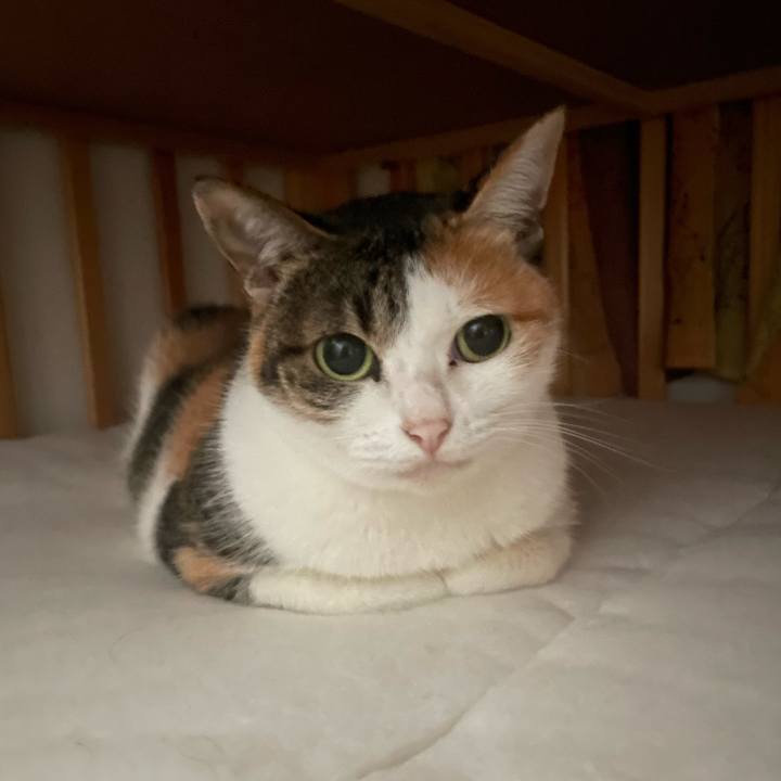 C239fc17 e15c 4ae3 93c1 6e4c177af62c 1665698183305