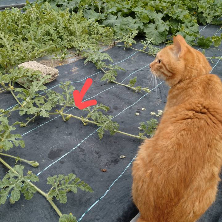 C23a18c9 67b5 4b15 9ef7 49631da658b0 1719569605443