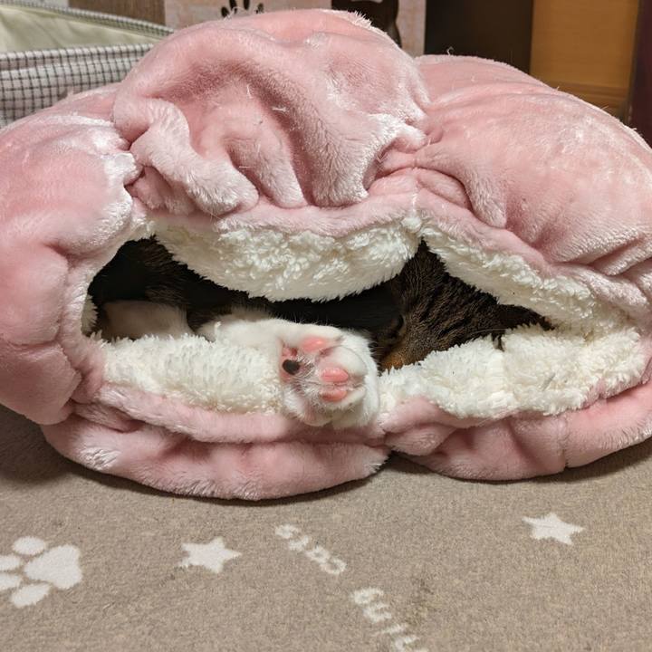 C23a43f6 d3d7 4b1c bb1d 61c204d1be30 1701693268028