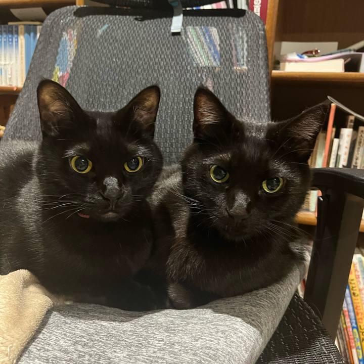 C23a4e40 3a1c 42c7 876f 4da0d6bfd89b 1676502952654