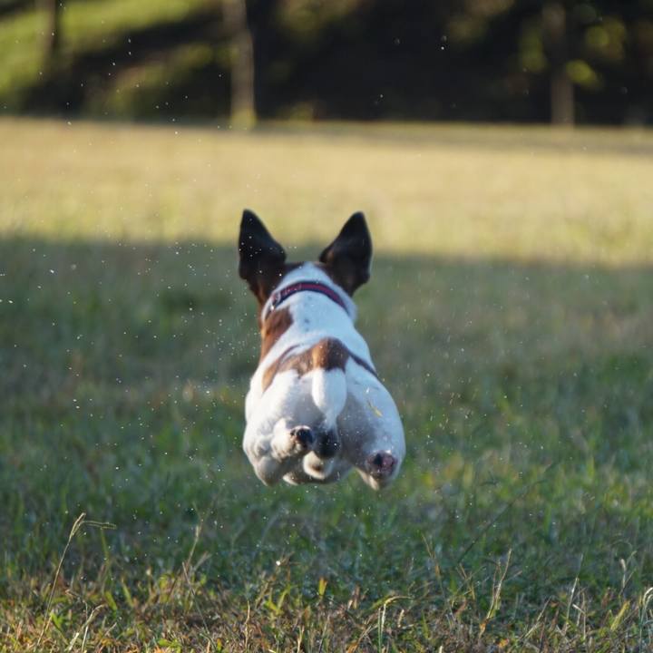 C23a67ba 4599 4eb0 afbf 8b37b3ffe625 1540162928550