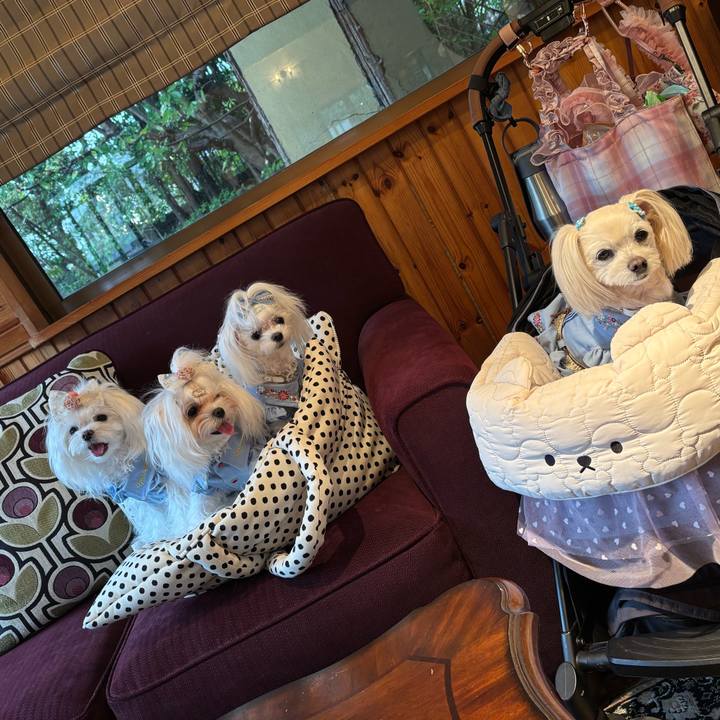 C23a6a61 23c1 4fe8 971a ed59143d7d2d 1774513416134