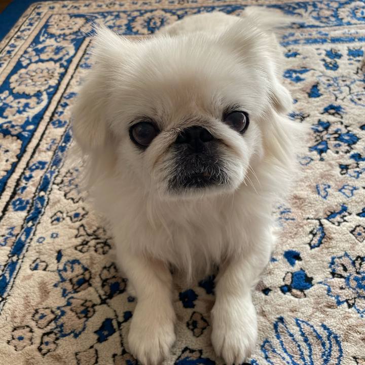 C23a6ad4 0ab4 462a bb61 e188fd7363f0 1615496634427