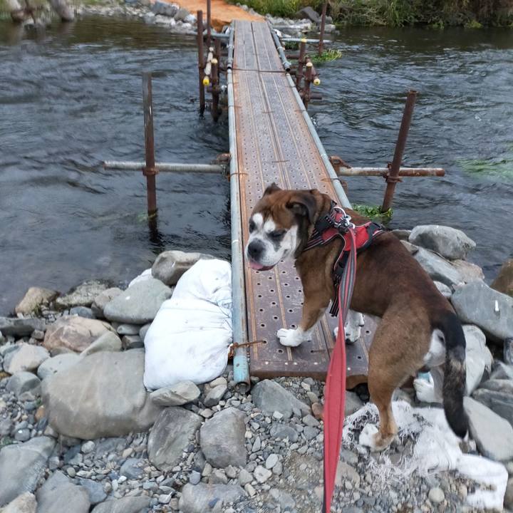 C23a8bb5 7c0b 4683 b31a fb3838ca438c 1634738421302