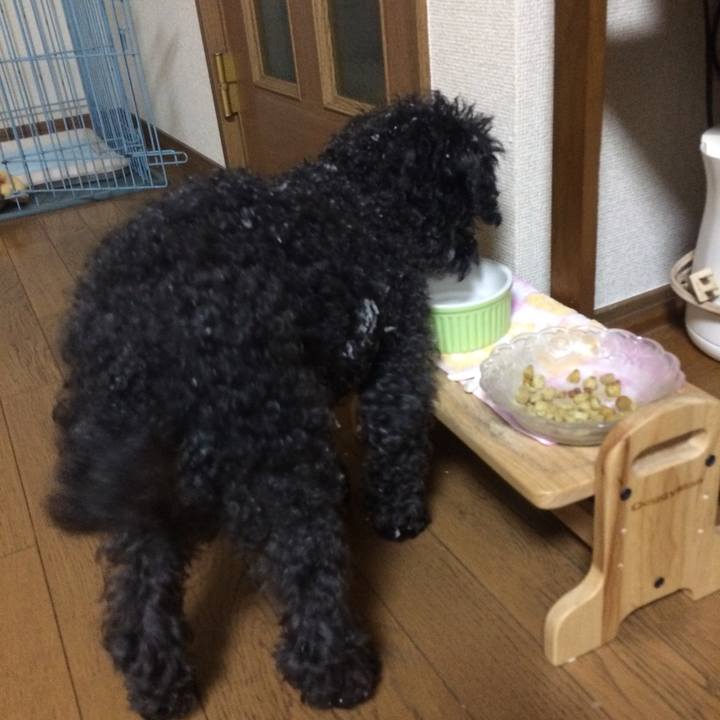 C23aa285 e0ff 40be 98d5 5e22958534ca 1516612236796