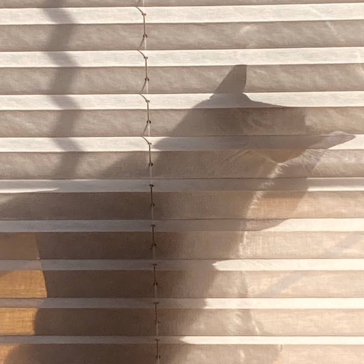 C23aaca1 d309 4f4c 926e 5d412364fcc8 1612591942695