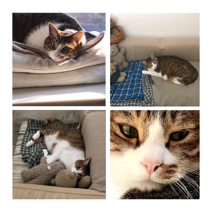 C23ac962 677e 4ac7 a626 e0ae761799e5 1645110618031