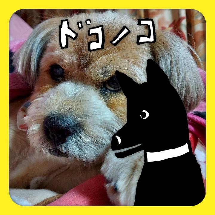 C23af4d2 bf90 4697 ad37 f644ae75132c 1622865053660