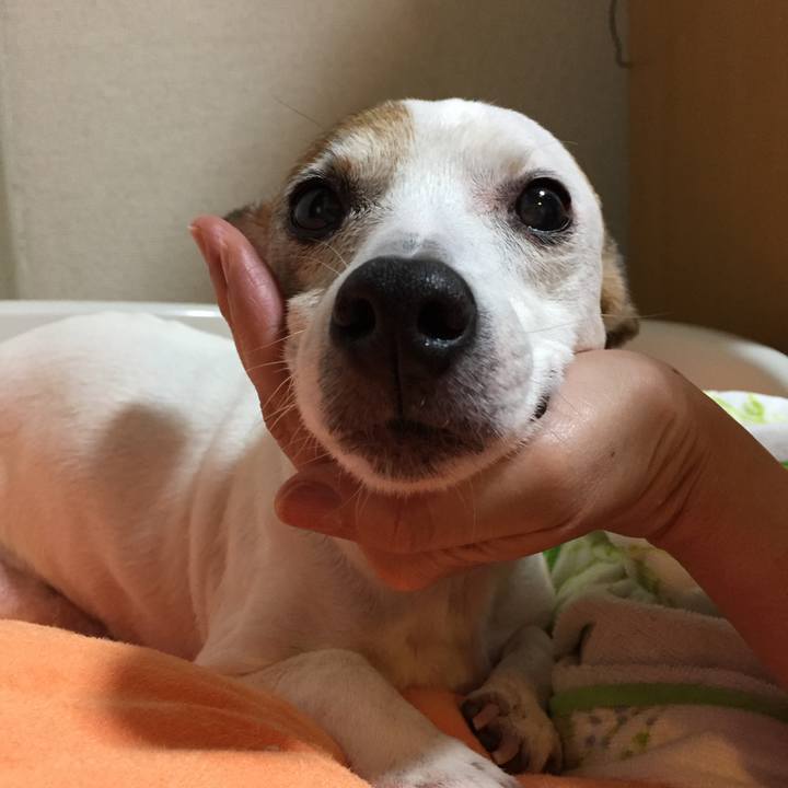 C23b0d9c e666 48be b49e 91ed0385c041 1527428825033