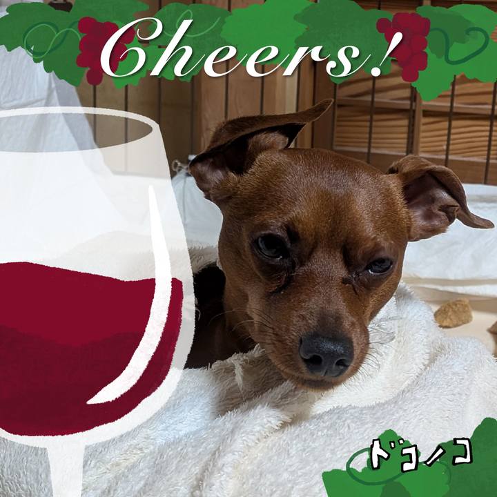 C23b4684 ef08 4e80 afaa 63d33590a40d 1761225428556