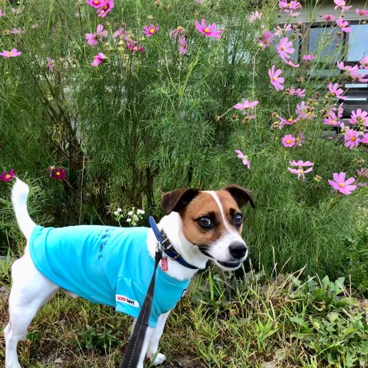 C23b5fe8 f302 45c8 ad5a e13070d49e1a 1597747127987