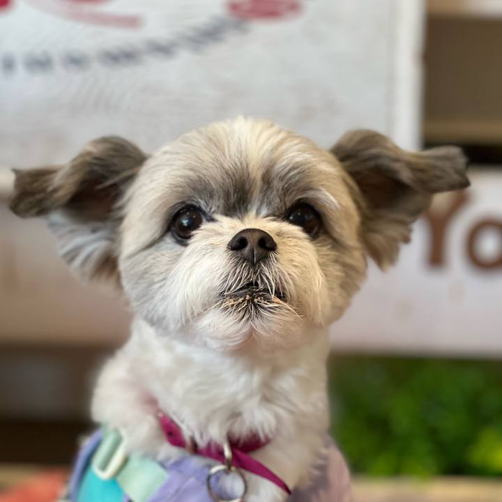 C23c1f38 a343 4419 b008 f8b549263318 1678871150800