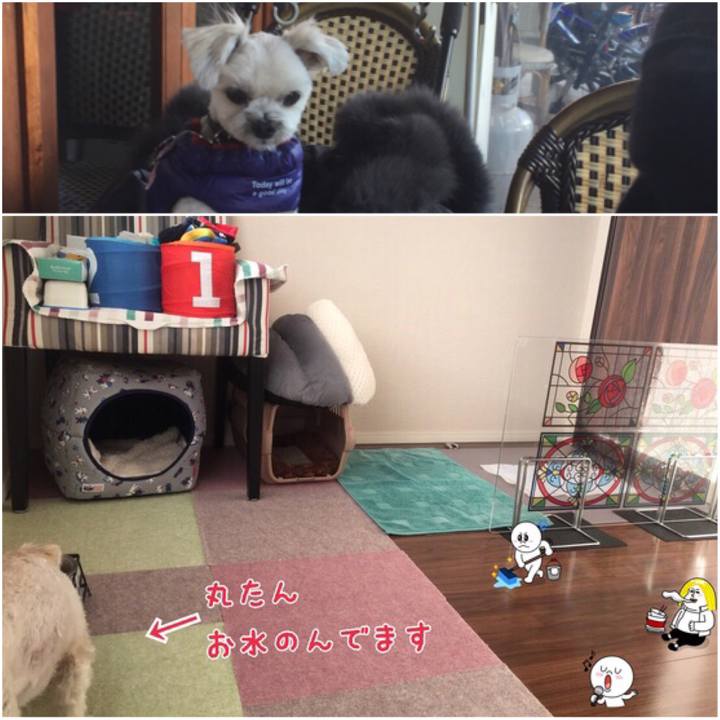 C23c231a 2d08 461d b176 37aac352605f 1514286997151