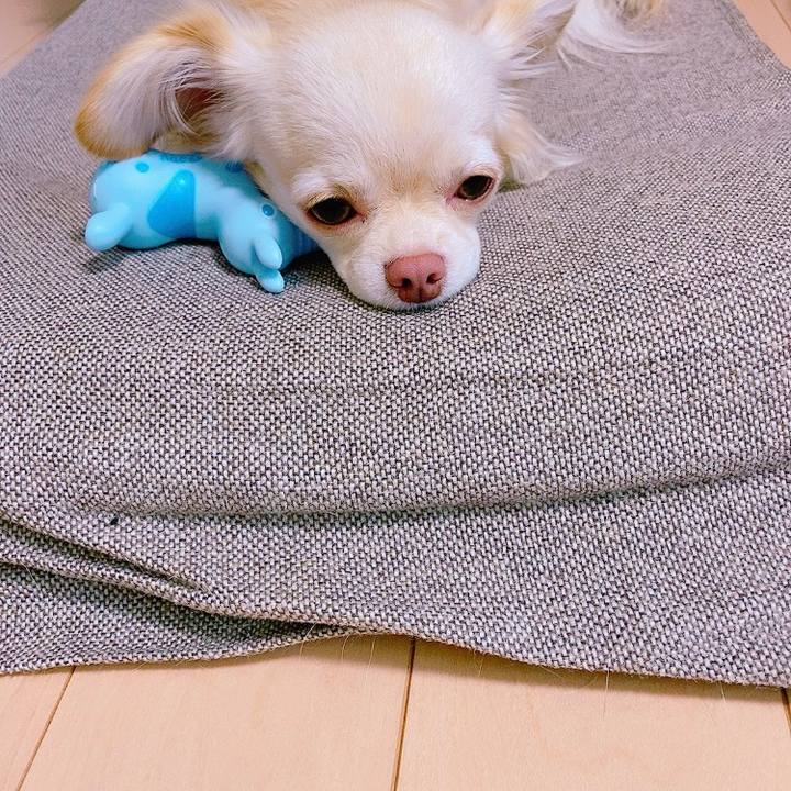 C23c4a1b 862b 49b4 b256 48accef649b6 1627217160061