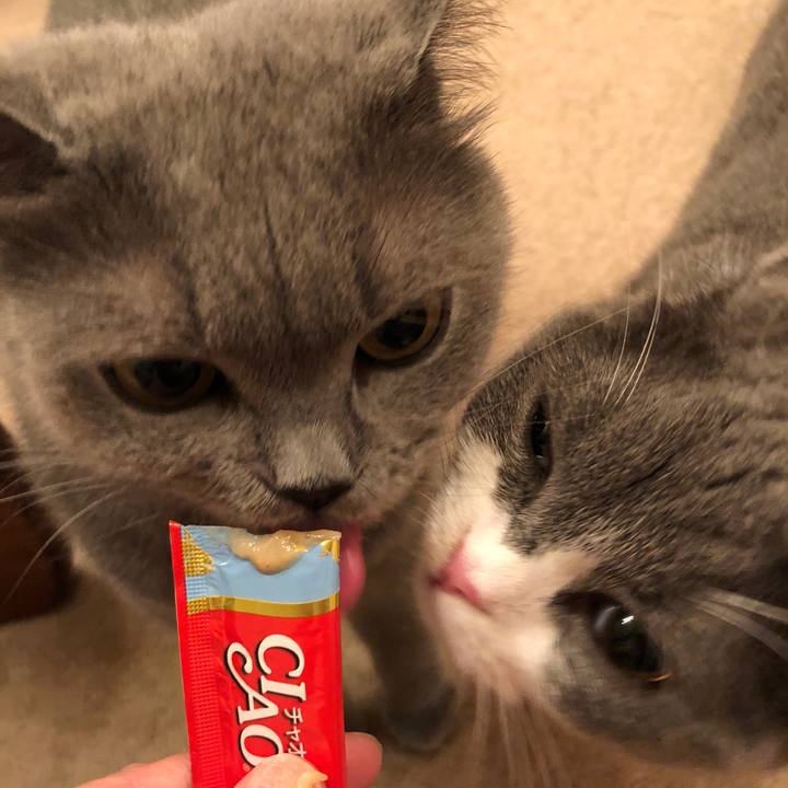 C23c5571 3cf8 459c b59c b22dc348d442 1528809772136