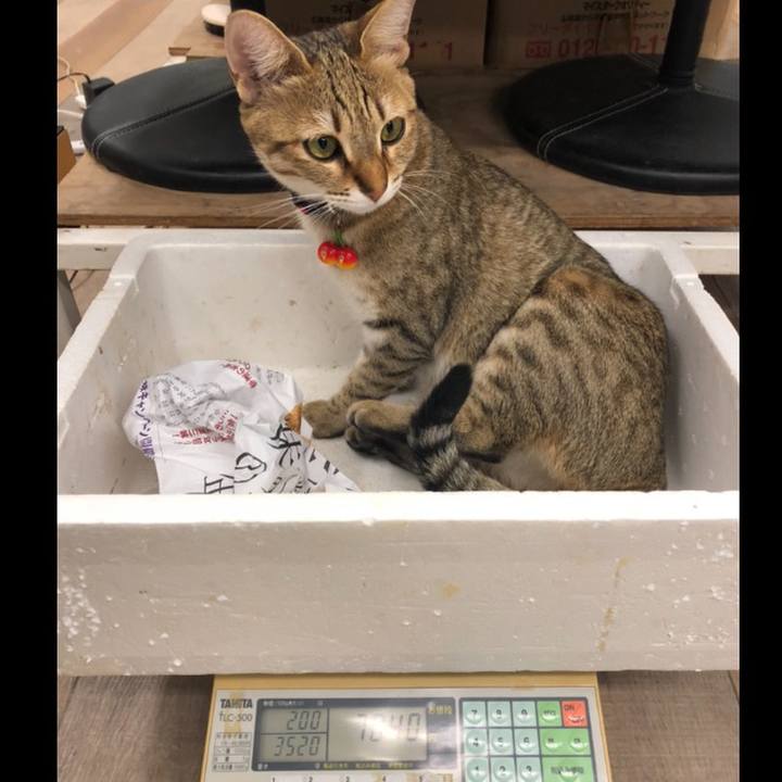 C23c958b fc31 4562 b9c8 ef498eb30471 1610254918638